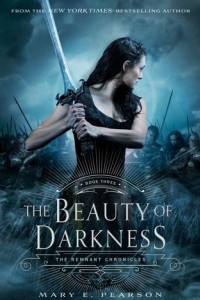 Книга The Beauty of Darkness