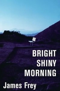 Книга Bright Shiny Morning