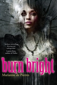 Книга Burn Bright