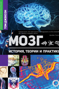 Книга Мозг. История, теории и практики