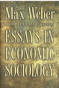 Книга Essays in Economic Sociology