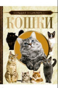 Книга Большая энциклопедия. Кошки