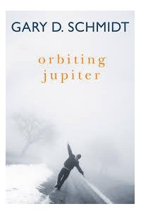 Книга Orbiting Jupiter