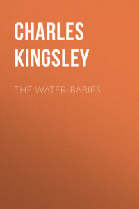 Книга The Water-Babies