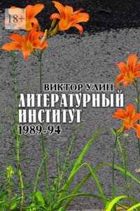 Книга Литературный институт. 1989-94