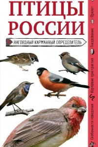 Книга Птицы России. Наглядный карманный определитель