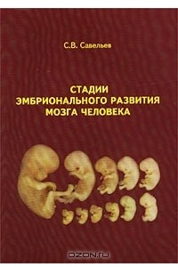Книга Стадии эмбрионального развития мозга человека