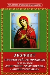 Книга Акафист Пресвятой Богородице пред иконами 