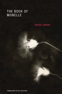 Книга The Book of Monelle