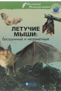 Книга Летучие мыши. Бесшумные и незаметные