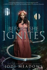 Книга Before She Ignites