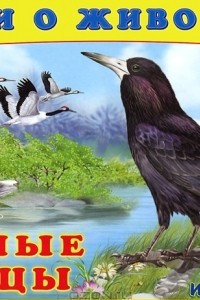 Книга Лесные птицы