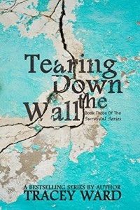 Книга Tearing Down the Wall