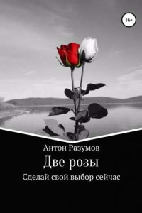 Книга Две розы
