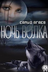 Книга Ночь Волка