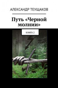 Книга Путь «Черной молнии». Книга 2