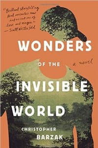 Книга Wonders of the Invisible World
