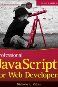 Книга Professional JavaScript for Web Developers