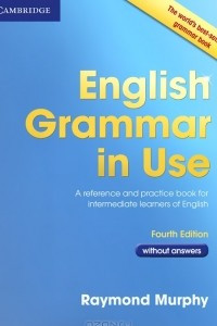 Книга English Grammar in Use without Answers