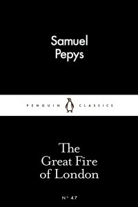 Книга The Great Fire of London