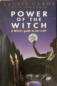 Книга Power of the Witch