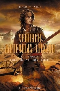 Книга Хроники железных эльфов. Книга 2. Свет пылающих теней