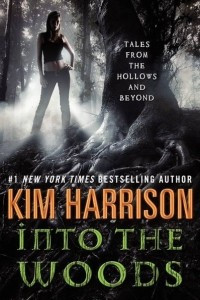 Книга Into the Woods: Tales from the Hollows and Beyond