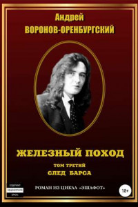 Книга Железный поход. Том третий. След барса