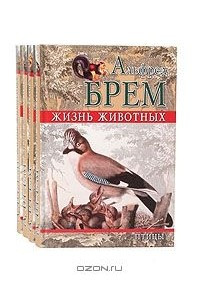 Книга Жизнь животных. Птицы