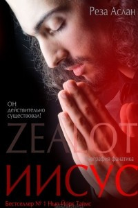 Книга ZEALOT. Иисус. Биография фанатика