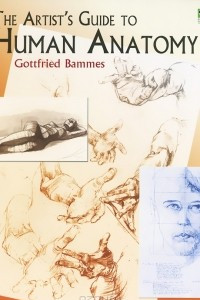 Книга The Artist's Guide to Human Anatomy