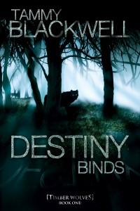 Книга Destiny Binds