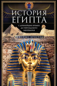 Книга История Египта c древнейших времен до персидского завоевания