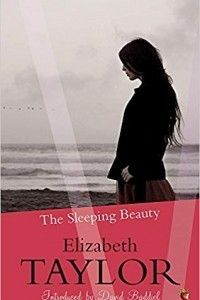 Книга The Sleeping Beauty