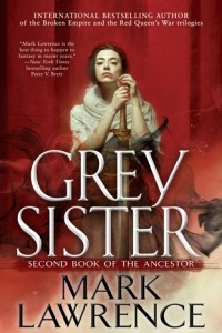 Книга Grey Sister