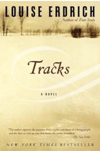 Книга Tracks