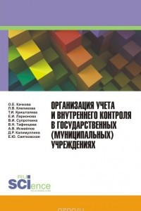 Книга Организация учета и внутреннего контроля в государственных (муниципальных) учреждениях
