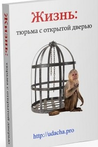 Книга Жизнь: Тюрьма с открытой дверью