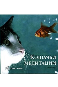 Книга Кошачьи медитации