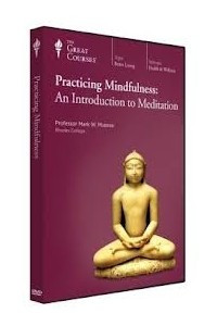Книга Practicing Mindfulness: An Introduction to Meditation