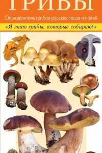 Книга Грибы. Определитель грибов русских лесов и полей