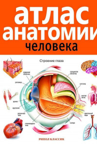 Книга Атлас анатомии человека. 2-е изд., доп. и перераб. Марысаев В.Б.