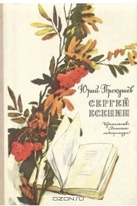 Книга Сергей Есенин. Очерк жизни и творчества