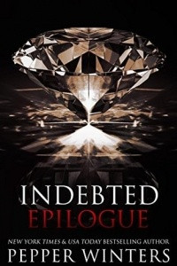 Книга Indebted Epilogue