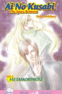 Ai No Kusabi The Space Between Volume 6: Metamorphose