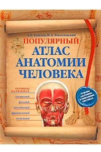 Книга Популярный атлас анатомии человека