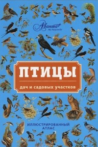 Книга Птицы дач и садовых участков. Иллюстрированный атлас