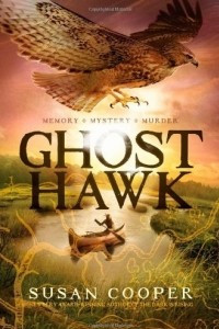 Книга Ghost Hawk