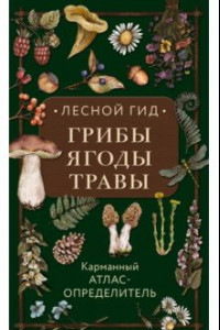 Книга Лесной гид. Грибы, ягоды, травы. Карманный атлас-определитель