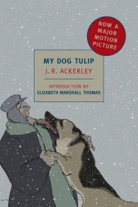 Книга My Dog Tulip